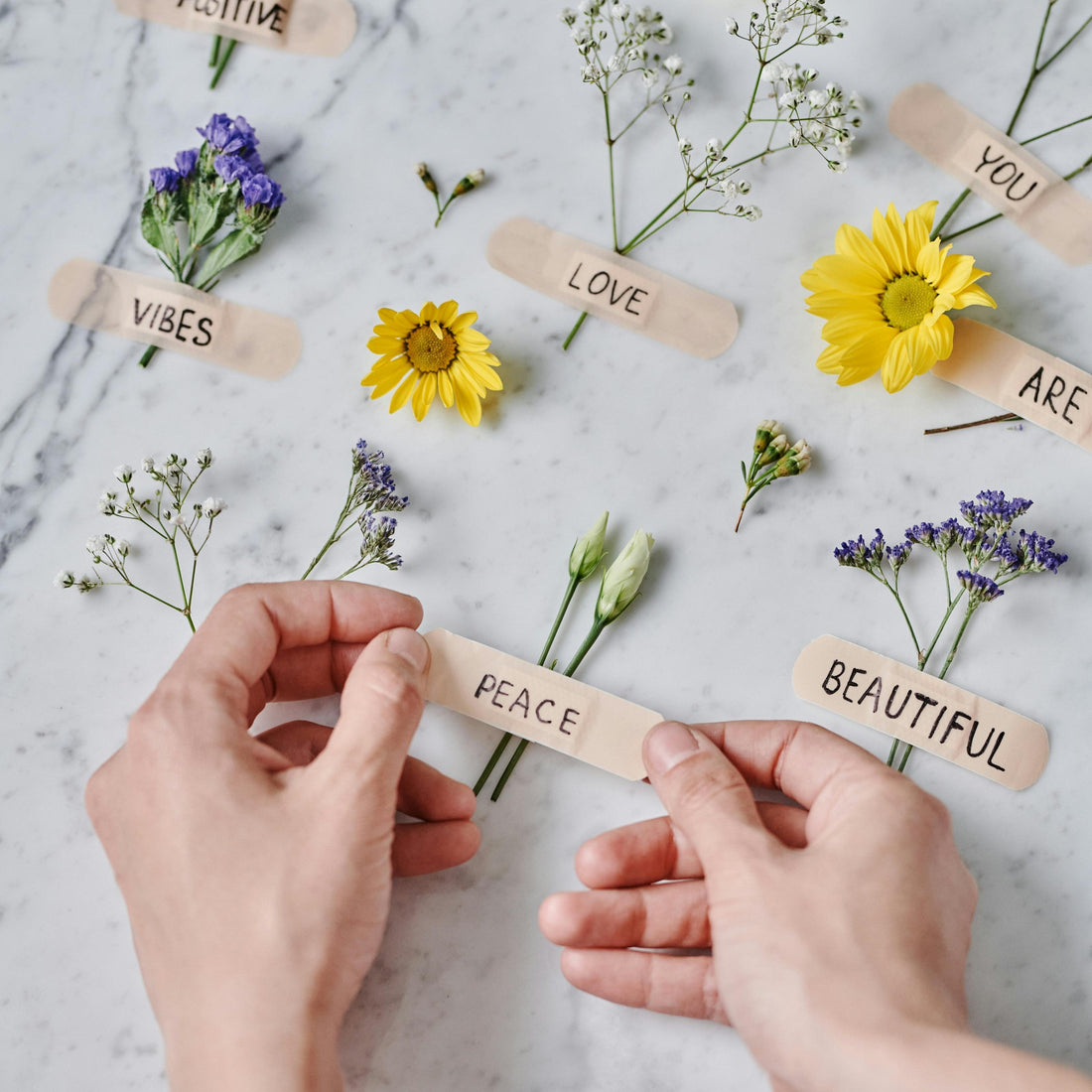The Power of Words – Transform Your Life with Affirmations