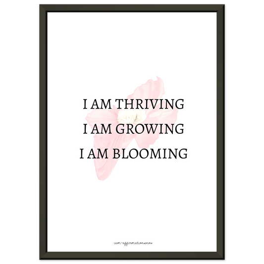 a8972065-b463-40cc-96ad-4c64c43b1218